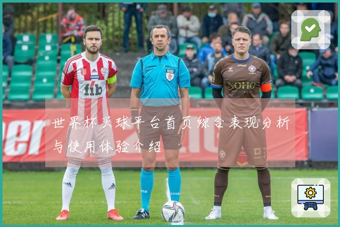 世界杯买球平台首页综合表现分析与使用体验介绍