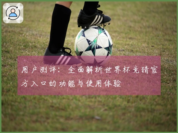 用户测评：全面解析世界杯竞猜官方入口的功能与使用体验