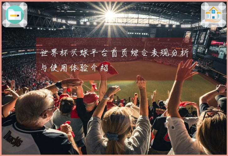 世界杯买球平台首页综合表现分析与使用体验介绍