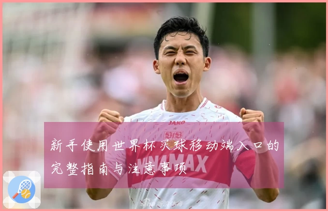 新手使用世界杯买球移动端入口的完整指南与注意事项