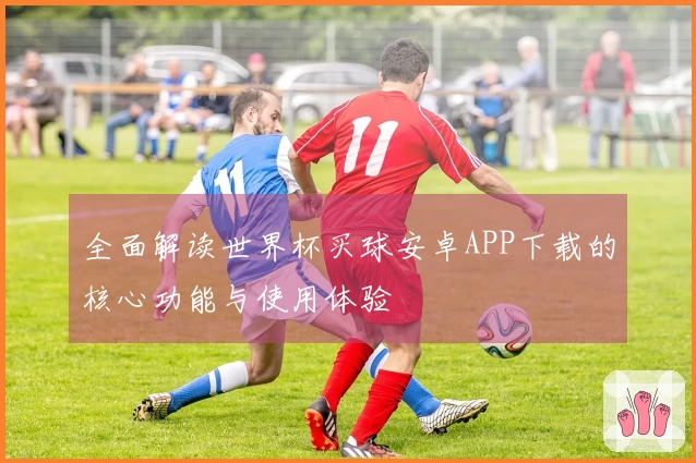 全面解读世界杯买球安卓APP下载的核心功能与使用体验